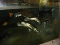 zoo 025
